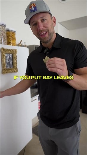 The Best Natural Pest and Bug Control