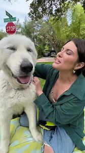 1.4K views · 22 reactions | FidoAlert is the first text-based Amber Alert for pets! No credit card is required, it's completely FREE to register your pet(s)... & you get a complementary pet ID tag. Register today and get connected with thousands of local Pet Finders in your area! https://www.fidoalert.com | FidoAlert | Facebook