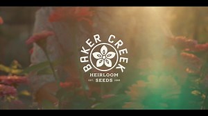 18K views · 4K reactions | Over 1000 timeless heirloom varieties. Experience flavors from around the World! Order now with Free shipping! 朗 | Baker Creek Seeds | Facebook