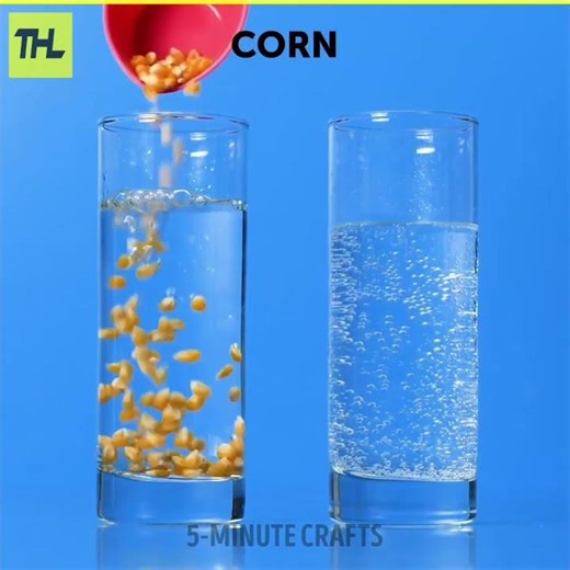 Don’t Show This to Your Science Teacher 🤯 | Crazy Science Experiments