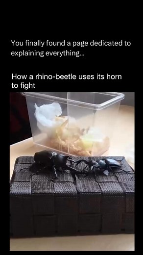 1.4M views · 10K reactions | Explaining The Universe Teaches you something NEW every day 易 | Explaining Everything | Facebook