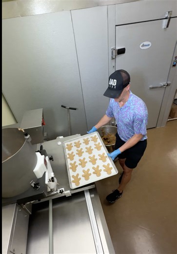 The Sweet Surprises of a Bakery: Gingerbread Twins