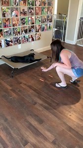 Skye was a street dog as a puppy. The sight of food makes her crazy so she is doing great with Ashley and the hot dogs | Wagg The Dog Trainer