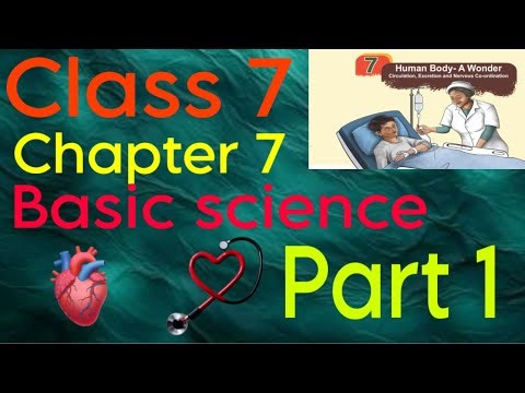 Class 7 Basic Science Chapter 7 | Human Body: AWonder | Circulation, Excretion &Nervous Coordination