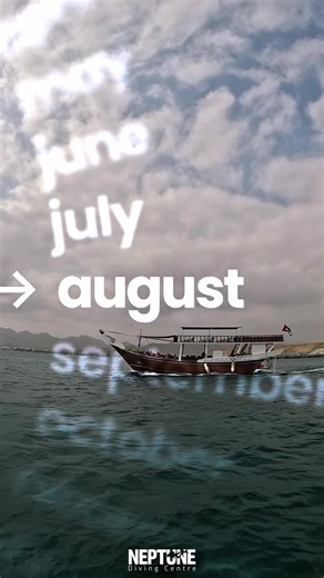 Your Next Great Adventure Begins Now! 🌊🚤 Kick things off with an exhilarating boat ride across sparkling waters — the gateway to an unforgettable dive experience! 🌞💦 Feel the thrill build as you gear up to plunge into a vibrant underwater world bursting with color, life, and pure magic. 🐠🌈 Whether you're diving with your crew, your family, or that special someone, this is the kind of adventure that brings people together and sparks stories you'll tell forever. Catch your breath — then lose