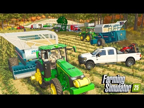 I Start Peanut Harvest And Hire A New Guy? | Farming Simulator 25