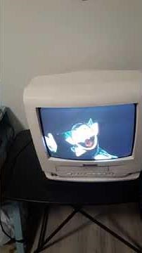 closing to sesame street presents follow that bird