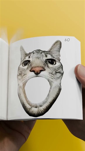 Miau Miau Flipbook Art 🐱🎵 Hyper Flipbook Animation