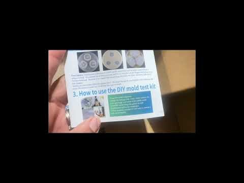 The Best Easy Mold Test Kit for Home Amazon Finds