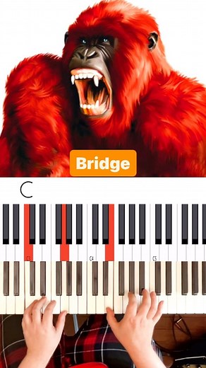 N.E.R.D “You Know What” 🎹🔥 Bridge Chords #NERD #YouKnowWhat #YouKnowWhatChords #N.E.R.D #SeeingSounds #PharrellWilliams #ChadHugo #ShayHaley #TheNeptunes #IAmOther #Columbia #Virgin #StarTrak #Interscope #UMG #WarnerChappell #Alternativehiphop #funkrock #alternativerock #raprock #avant-funk #progressiverap #NERDchords #MusicianParadise #MusicianParadiseChords #90sChords #RhodesPiano #RhodesSound#MIDIFiles #ChordPresetPacks | Musician Paradise