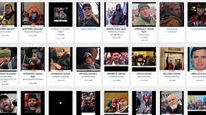 ‘Sedition Hunters' Seek to Identify Participants in Jan. 6 Capitol Attack