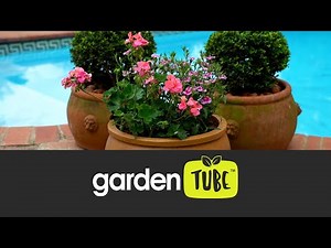 Greg’s Plant Picks for a Stunning Poolside Look