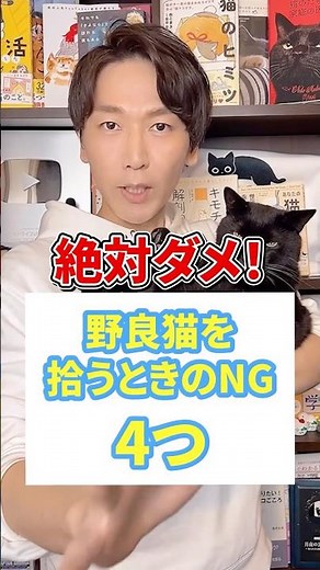 絶対ダメ！野良猫を拾うときのNG４つ #猫 #野良猫 #保護猫 #ねこ