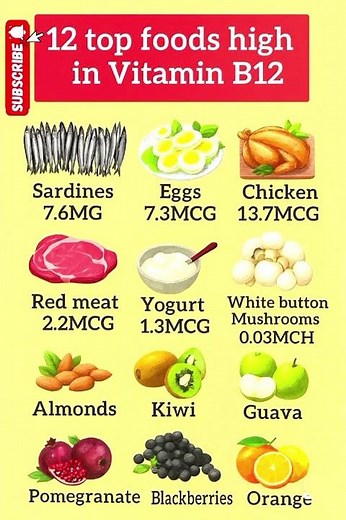 12 Top Foods High in Vitamin B12 | Boost Energy, Brain & Immunity Naturally