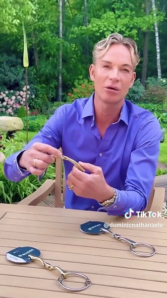 Die richtige Gebissauswahl für Pferde im Reitsport