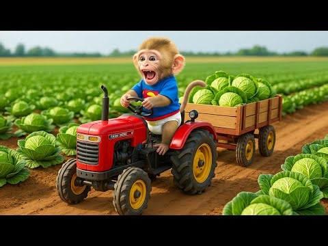 🐒⚔️ Monkey Kiki Defends the Cabbage Garden from a Swarm of Hungry Grasshoppers! 🥬💥