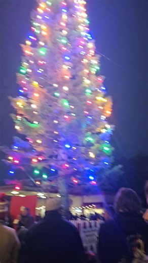 Tonight was the annual tree lighting in downtown Lemoore! I'm so happy our little town continues this tradition. Thank you Lemoore Volunteer Fire Dept!! 🎄🎄 | Sandy Budziszewski Salyer