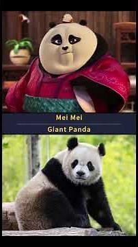 Kung Fu Panda Characters in Real Life (Animals Comparison) #kungfupanda #charactercollection