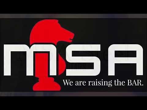 MSA Pedal Steel Guitars