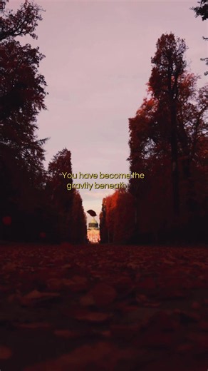 Somehow, you became the gravity my soul can’t escape — love quote