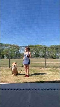 When I’m feeling down, some sunshine and puppy love always helps❤️