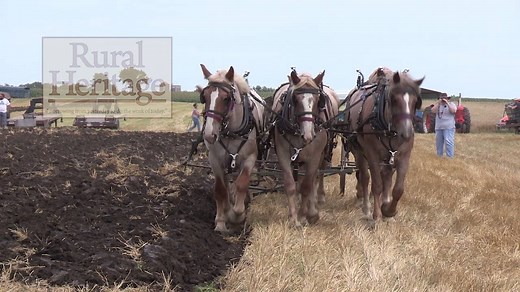 Here's a little raw footage from today's Humboldt Threshing Show shoot. | Rural Heritage Magazine