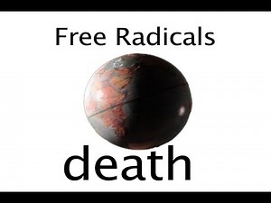 Free Radicals and Death