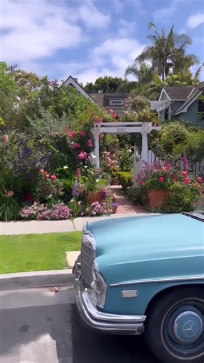 Magical Garden Discovery in Coronado, CA