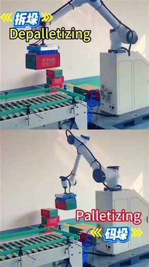 Palletizing Robot: Your Reliable Partner for Palletizing, Depalletizing and Heavy-Duty Work. #robot