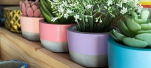 How to Make Cement Planters | DoItYourself.com