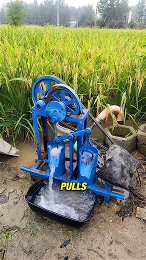 141K views · 777 reactions | Smart Hand Pump for Farmers #FarmingSolutions #EcoFriendlyTools #SmartIrrigation #SustainableFarming #RuralInnovation | Production Pulse | Facebook