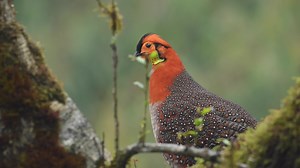 2.4K views · 159 reactions | Let's Go Birding! Experience with us...