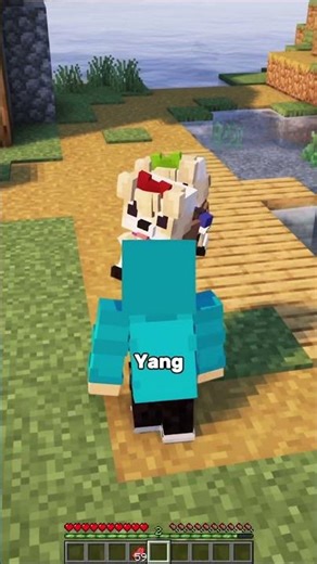 This Cute And Tidy Dog Is Very Useful