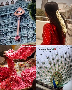 𝖲𝗁𝖺 ♥︎ (@sharmi_s__) • Instagram photos and videos