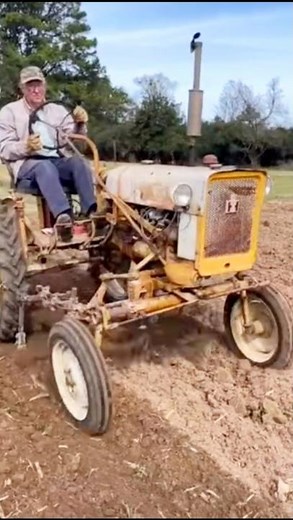 Old Mini Tractor #minitractor #oldtrend #americanfarming