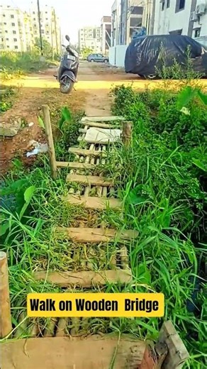 Walking on a Wooden Bridge | Feel the Nature 🍃 #shorts #nature