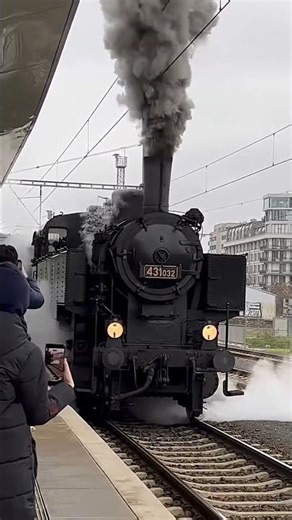 why did bro jump? are u scared of whistle