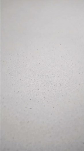 (Jimmyhogs) Preview 2 Science And English