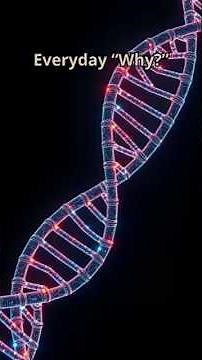 🇬🇧 🧪 DNA – The Future of Data Storage 🧪 #DNA #DataStorage #Biotechnology #Science #Tech #Data