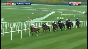 32K views · 666 reactions | This is why they call Faugheen "the machine". He is running tomorrow in the Christmas Hurdle at Kempton. | At The Races | Facebook
