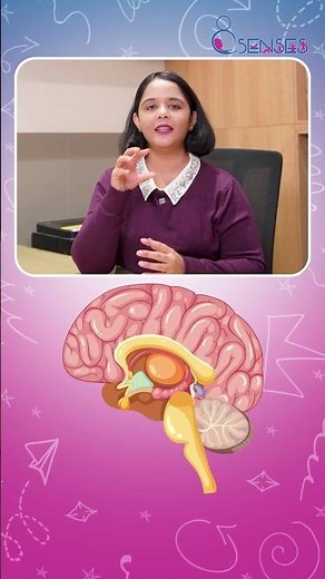 What Are Primitive Reflexes? Why They Matter for Child Development