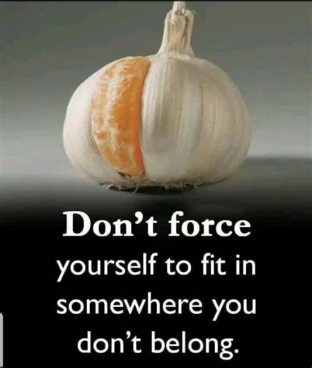 randy (@randy_collins4)’s videos with original sound - randy