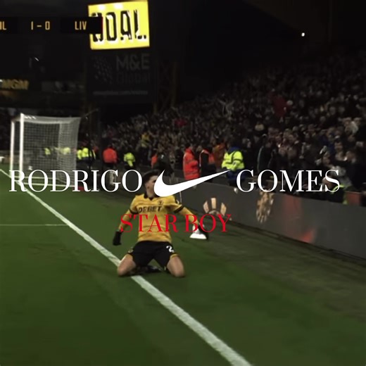 Star Boy: Rodrigo Gomes in Premier League Action