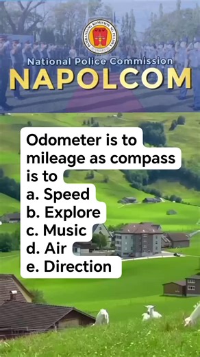 28K views · 458 reactions | Word analogy / NAPOLCOM review #civilserviceexamination2026 #NAPOLCOM #exampreparation | Arturo Infornon Malag Jr. | Facebook