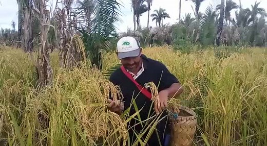 Os vídeos de Wellington ssousa lima (@wellingtonssousalimagma5) com som original - Wellington ssousa lima