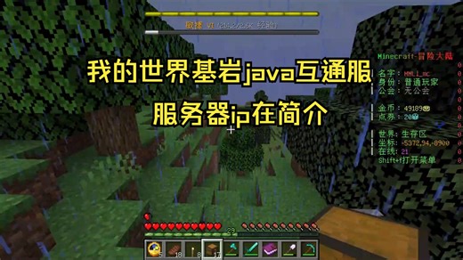 我的世界生存服 基岩版java互通 离线可玩 详情看简介