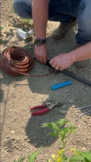How to set up drip line