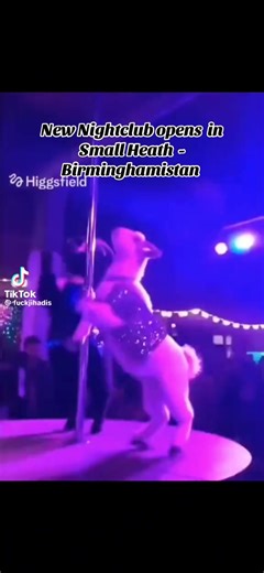 Fix Bayonets (@fix.bayonets)’s videos with original sound - Fix Bayonets