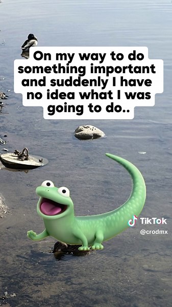 Aging Happens: Embrace Life's Changes