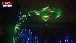 Zoo Adventures: Cecily Tynan explores LumiNature at Philadelphia Zoo